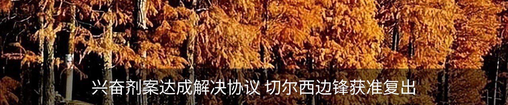 资讯动态